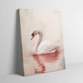 Pink Swan