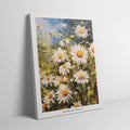 Sun Kissed Daises