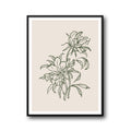 Tranquil Petals C