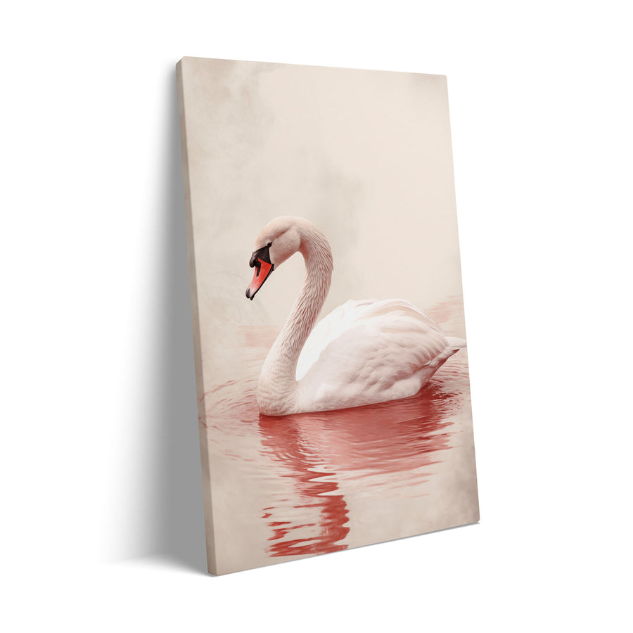 pink-swan