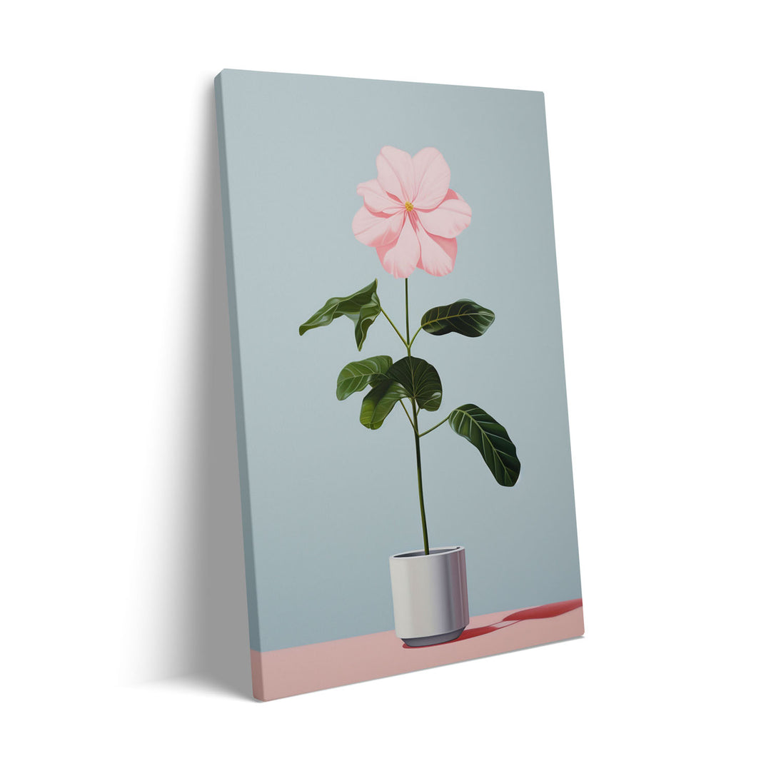 blooming-flower