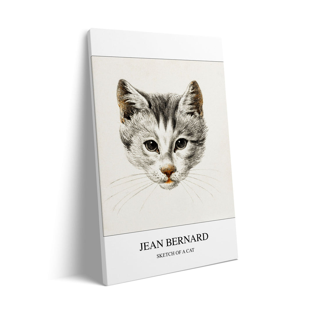 sketch-of-a-cat-jean-bernard