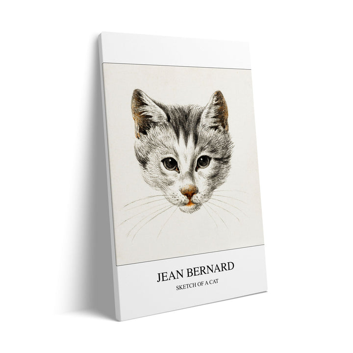 sketch-of-a-cat-jean-bernard