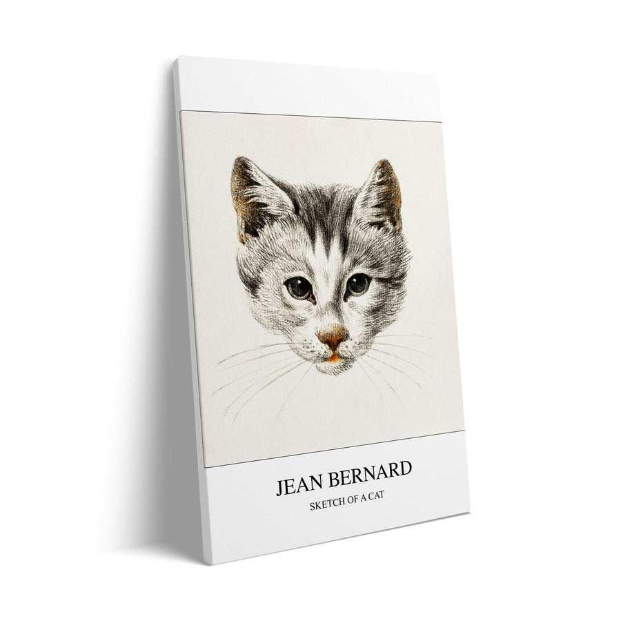 sketch-of-a-cat-jean-bernard