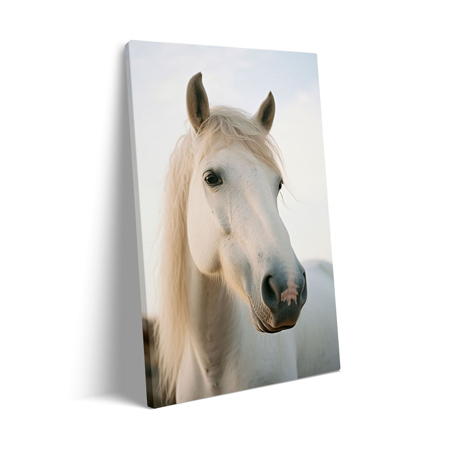white-horse
