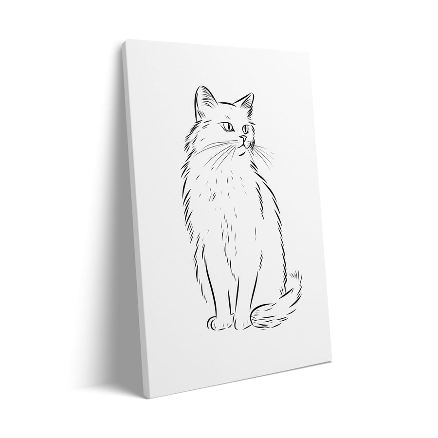 cat-sketch