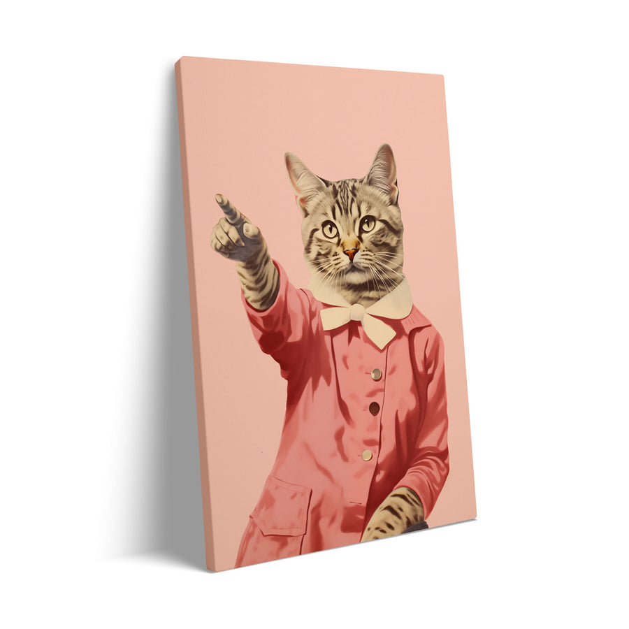 disco-cat