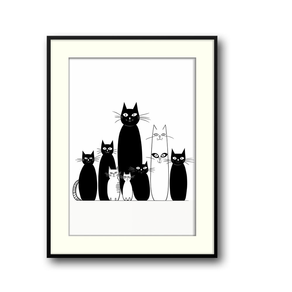 black-and-white-cats