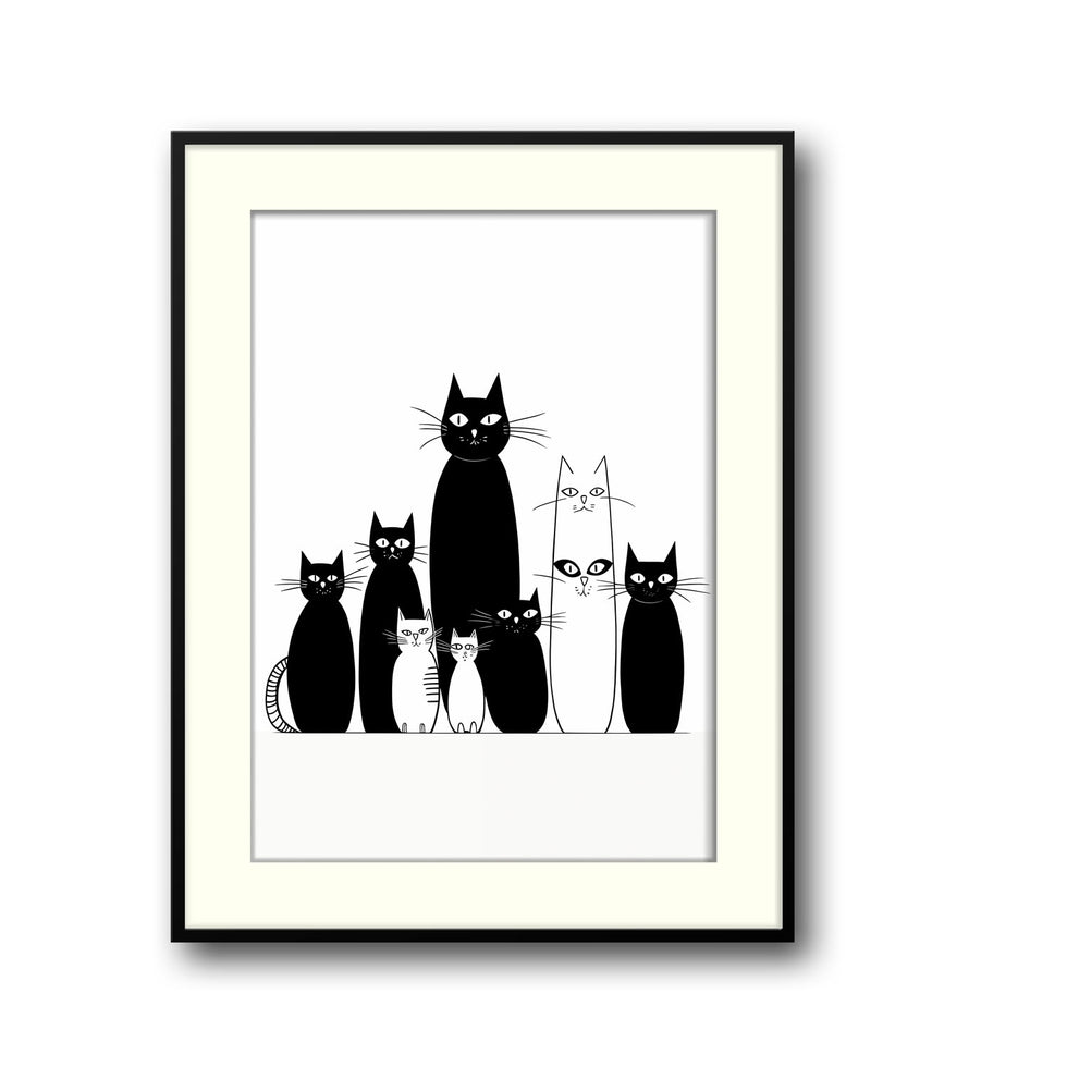 black-and-white-cats