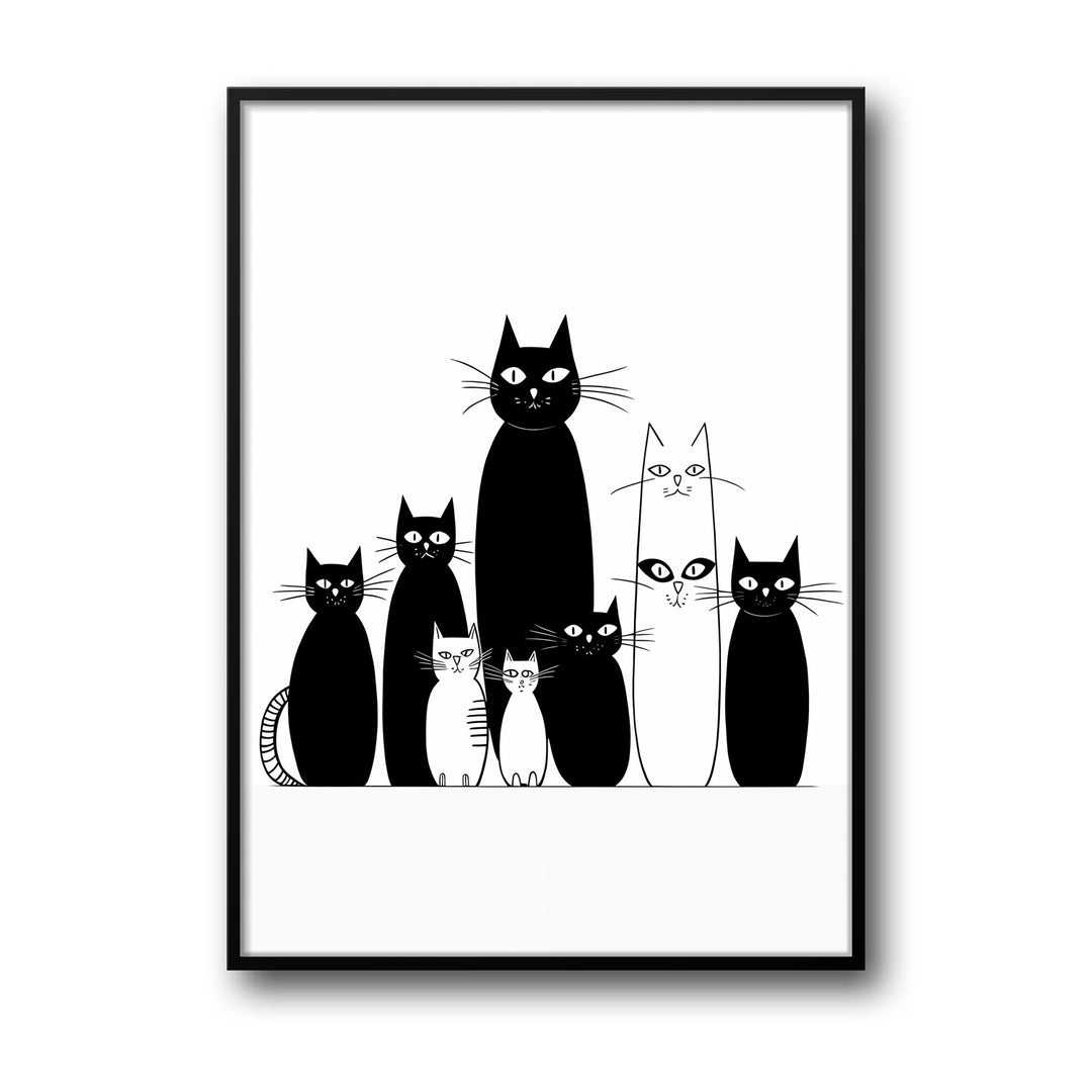 black-and-white-cats