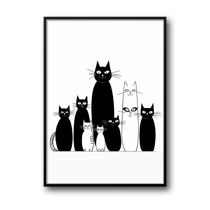black-and-white-cats