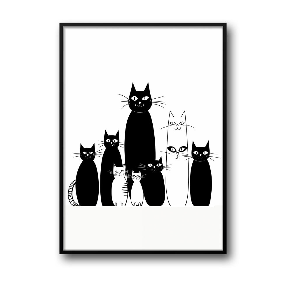 Black and White Cats