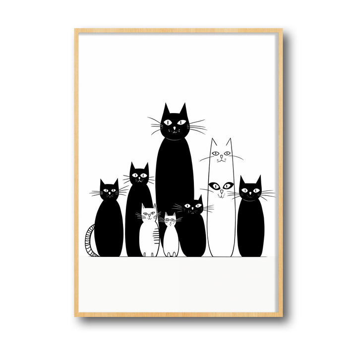 black-and-white-cats