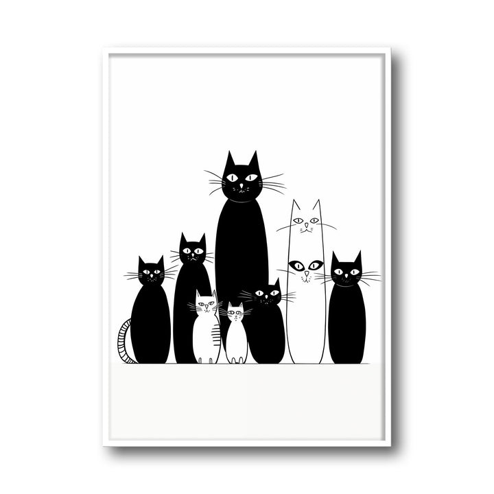 black-and-white-cats