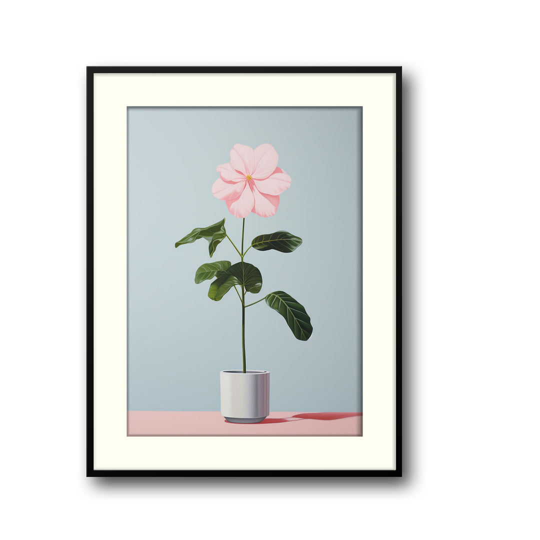 blooming-flower