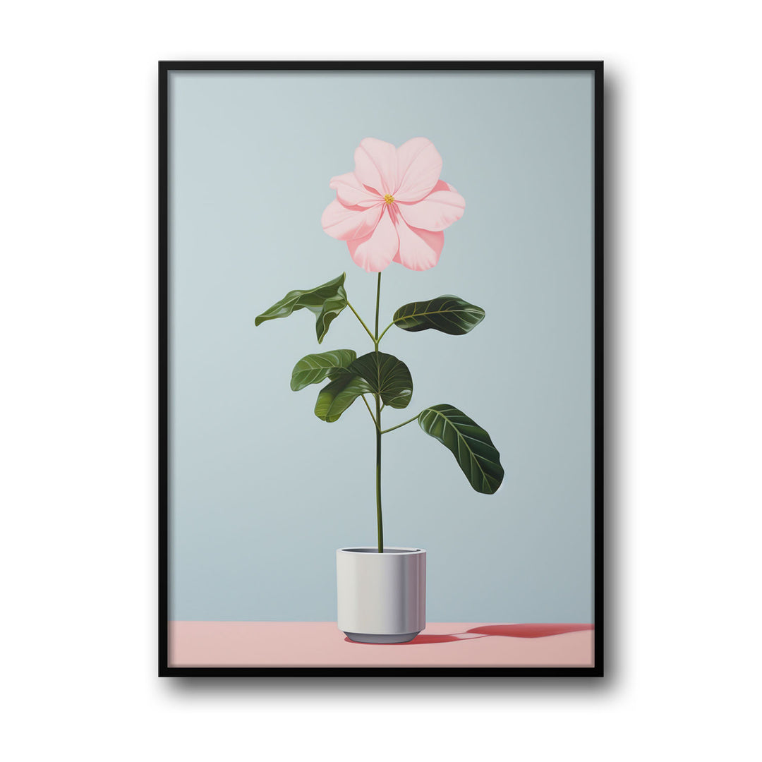 blooming-flower