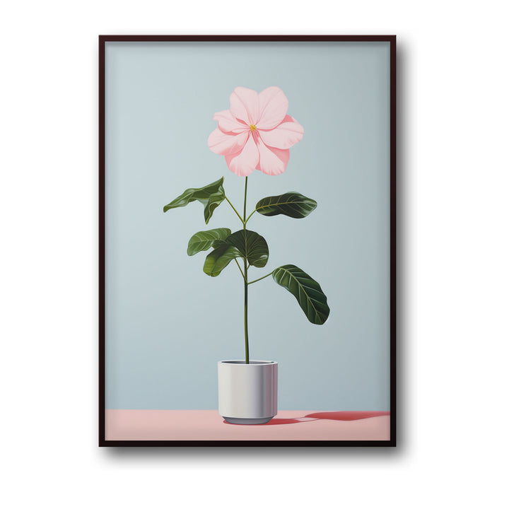 blooming-flower