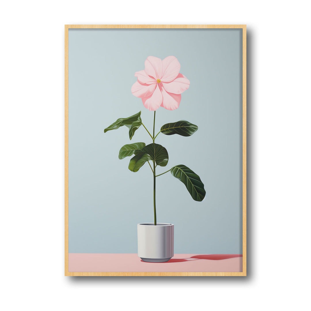 blooming-flower