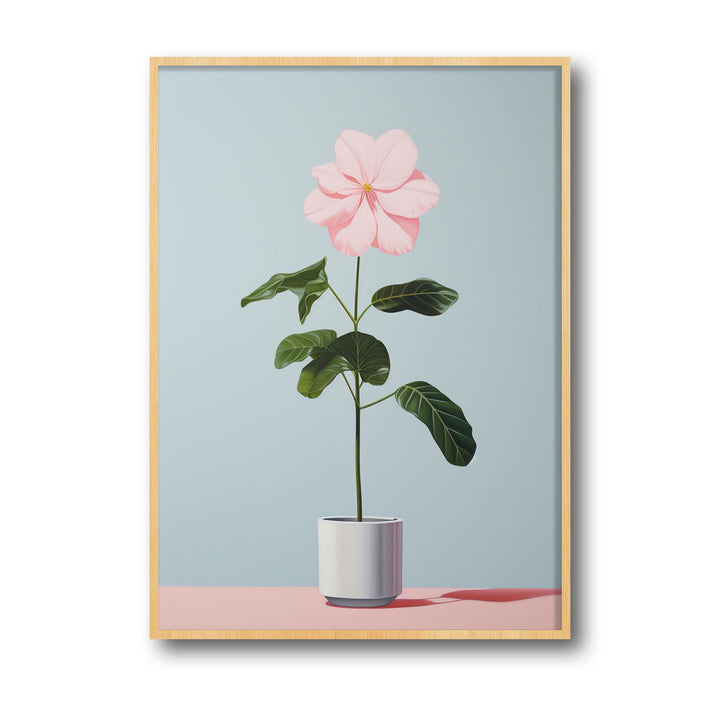 blooming-flower