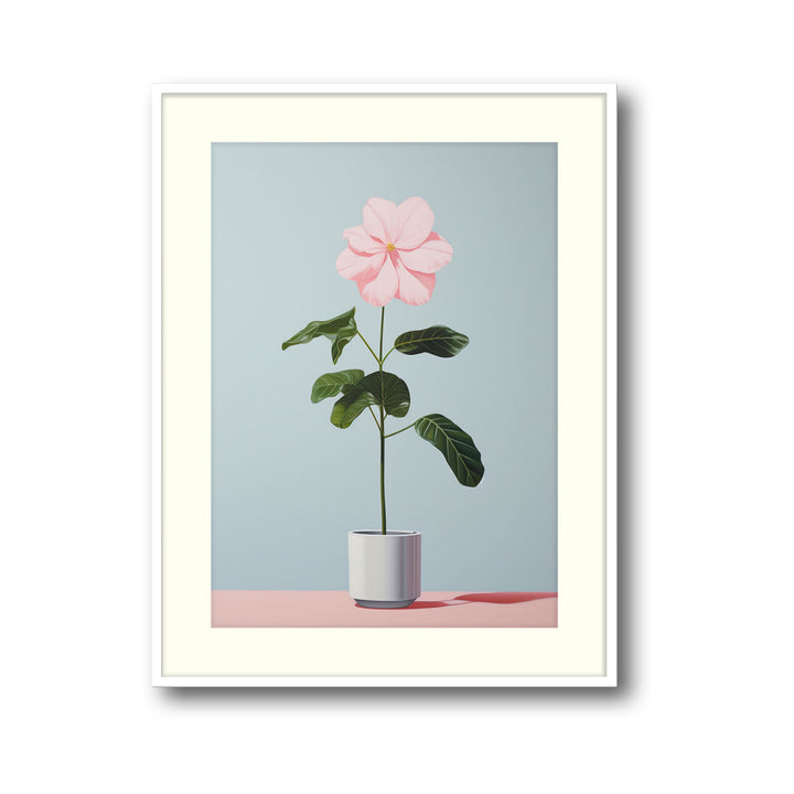 blooming-flower