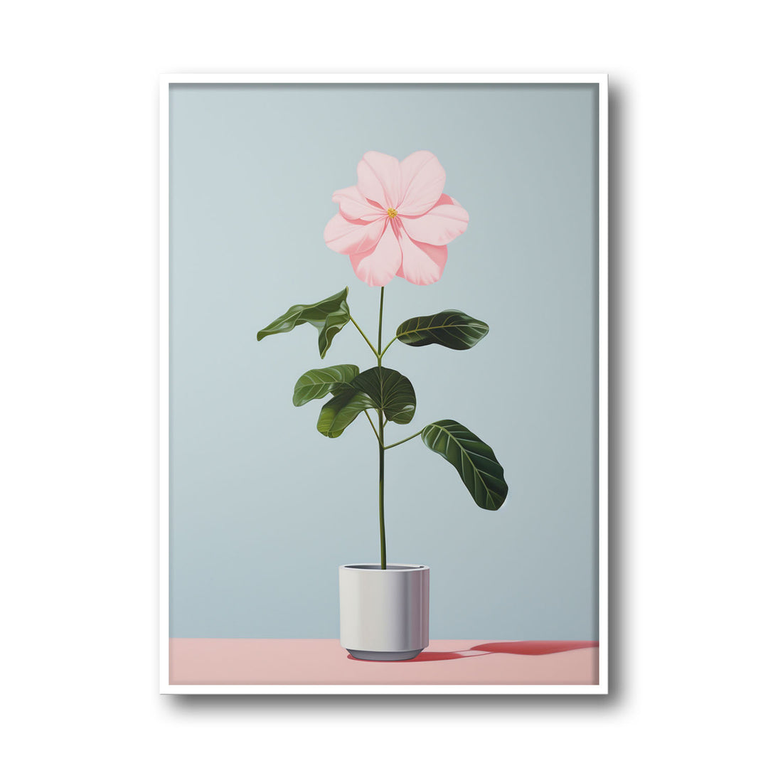 blooming-flower