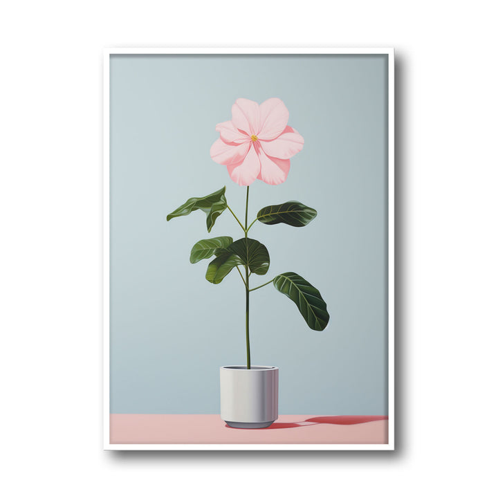 blooming-flower