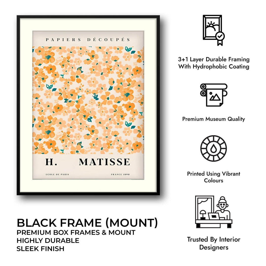 Papiers Decoupes - Henri Matisse