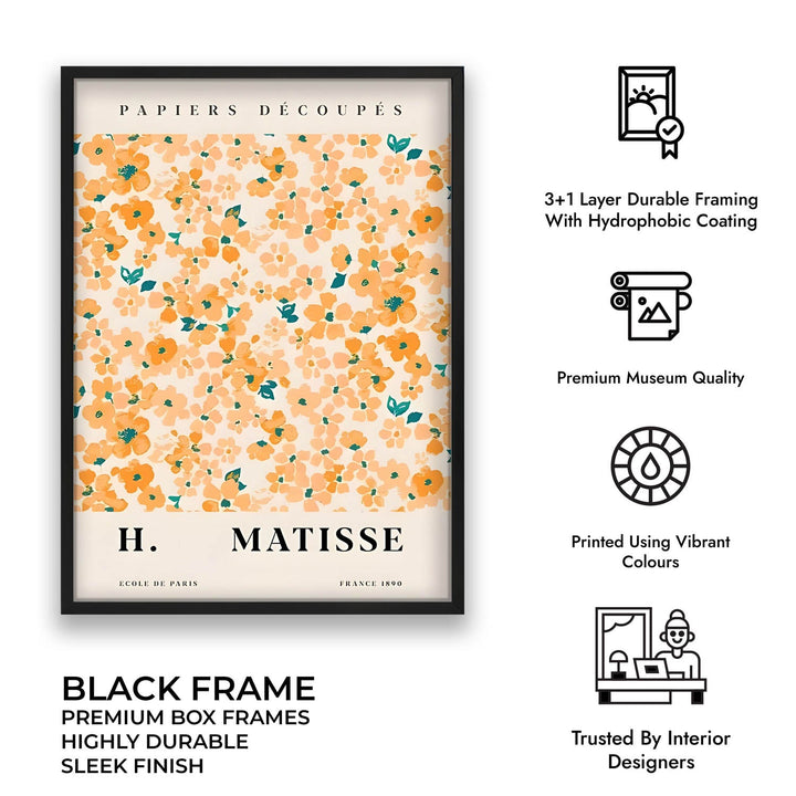 Papiers Decoupes - Henri Matisse