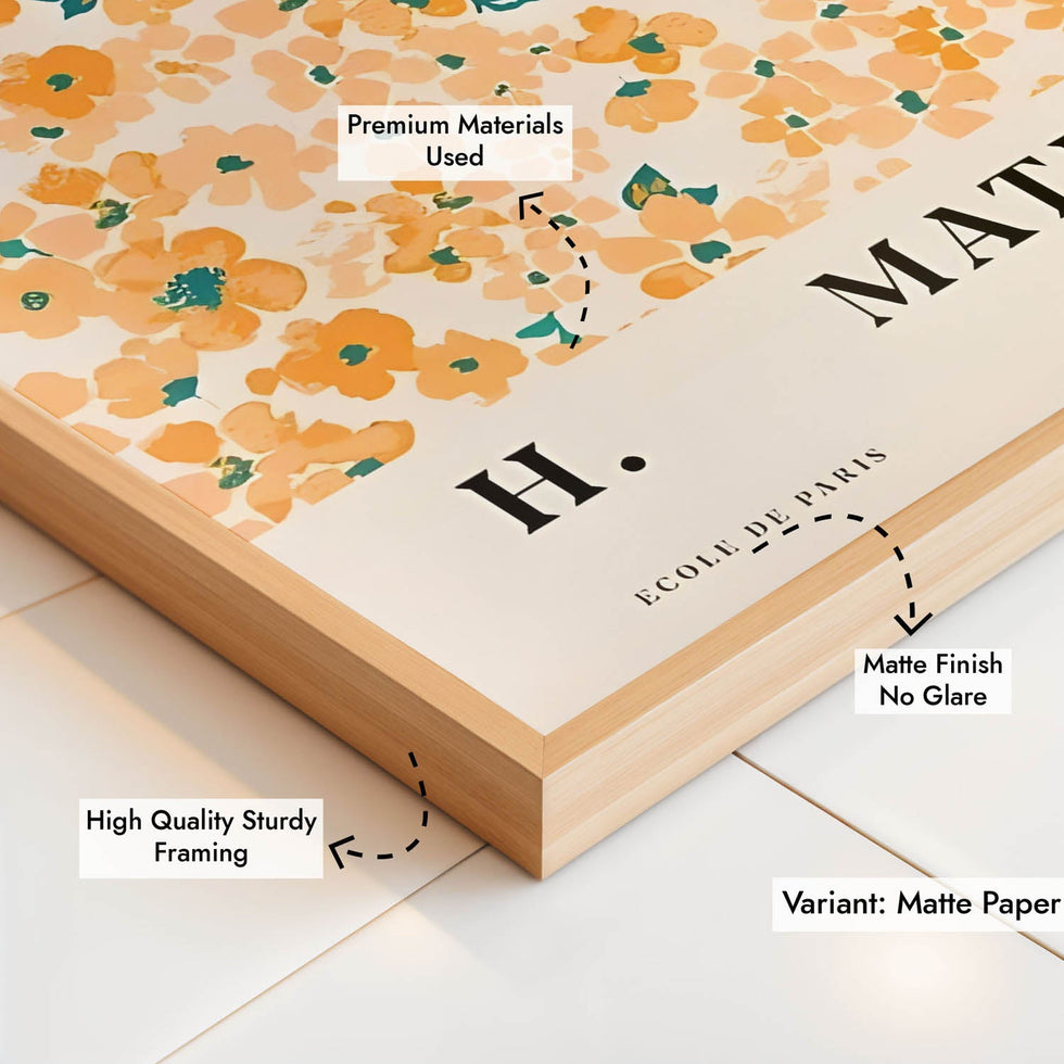 Papiers Decoupes - Henri Matisse