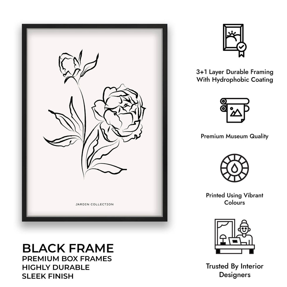 pivoines