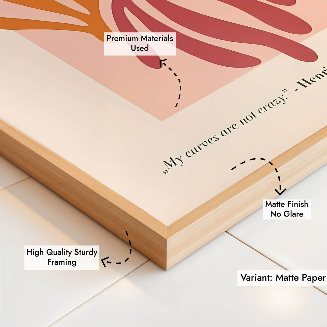 The Cut Outs - Henri Matisse