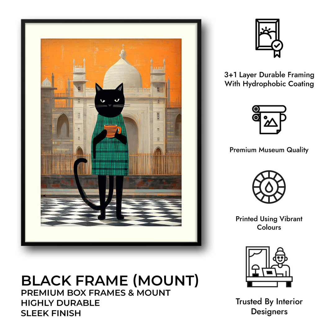 smelly-cat-another-city-same-me