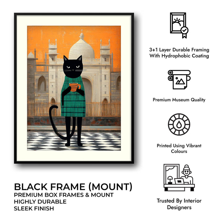 smelly-cat-another-city-same-me