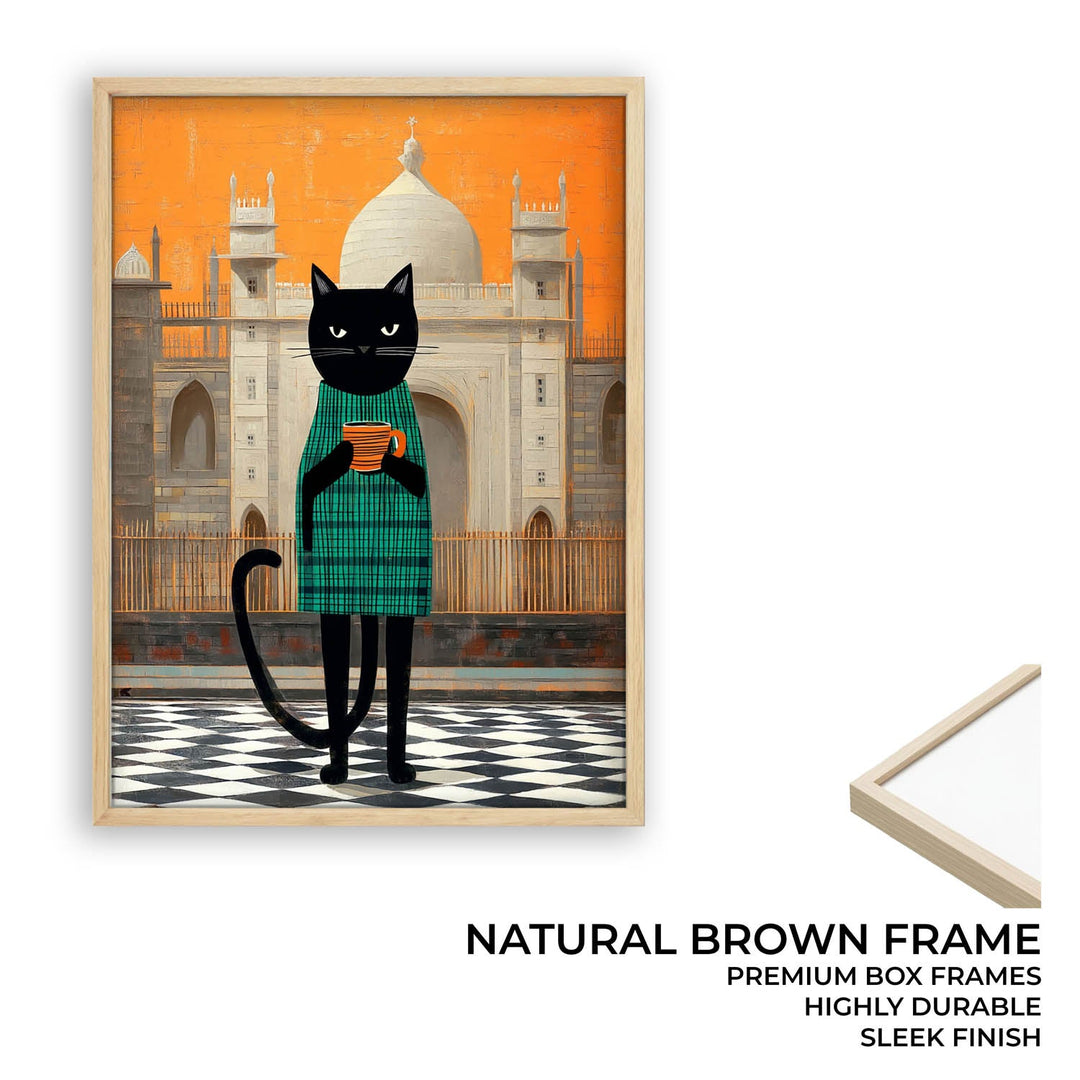 smelly-cat-another-city-same-me