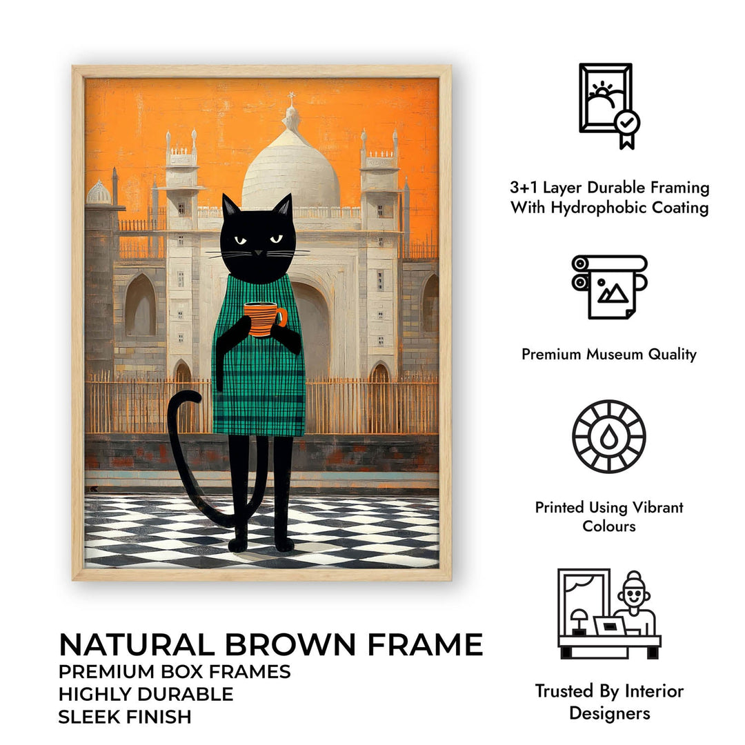 smelly-cat-another-city-same-me