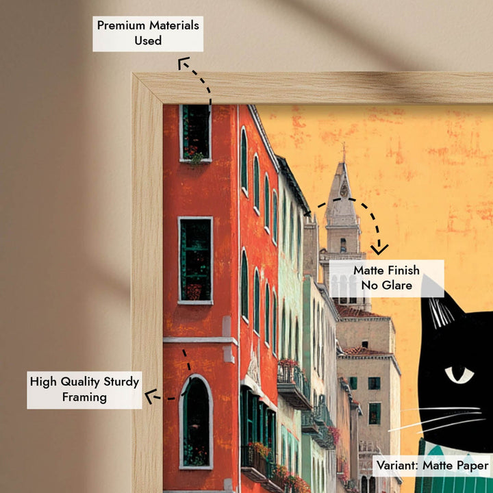 smelly-cat-lost-in-venice-not-in-thought