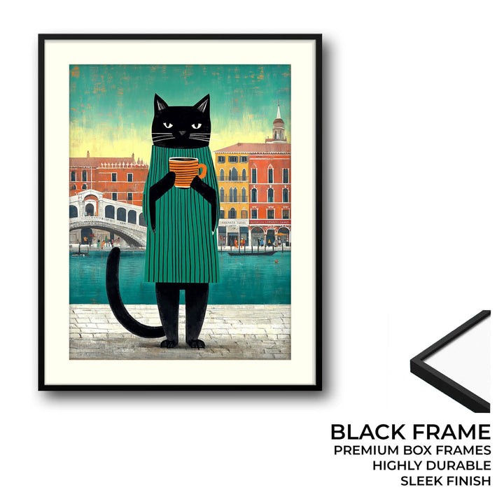 smelly-cat-probably-venice