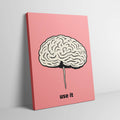 Brain