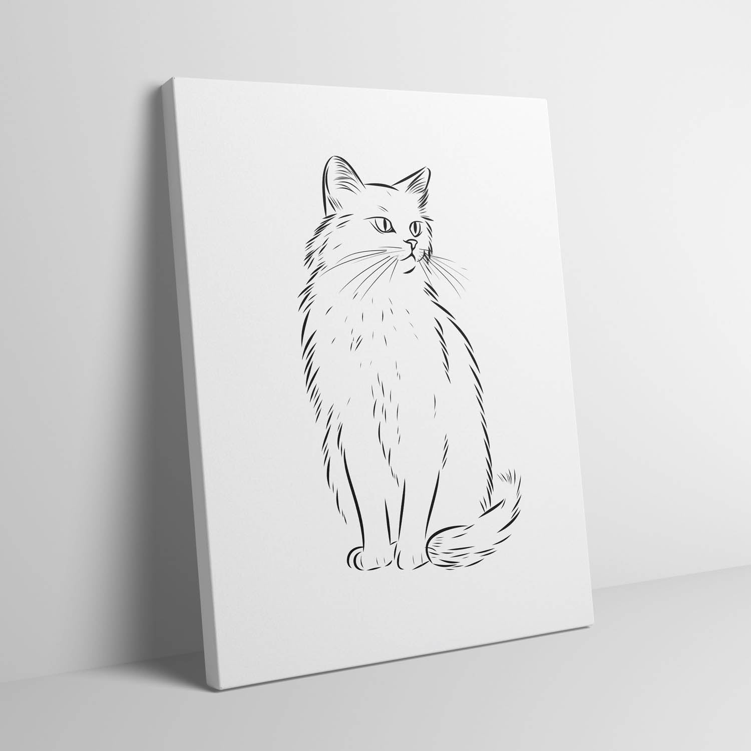 cat-sketch
