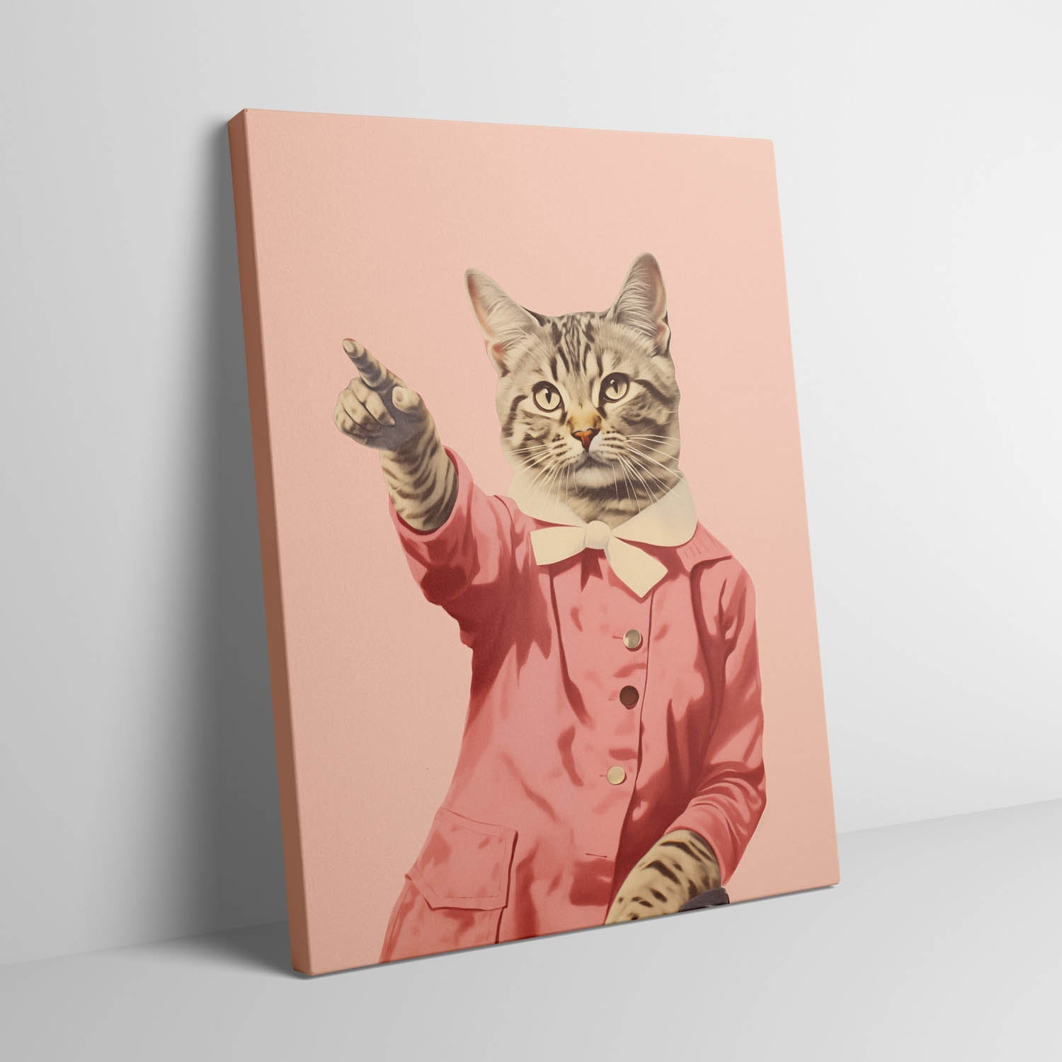 disco-cat