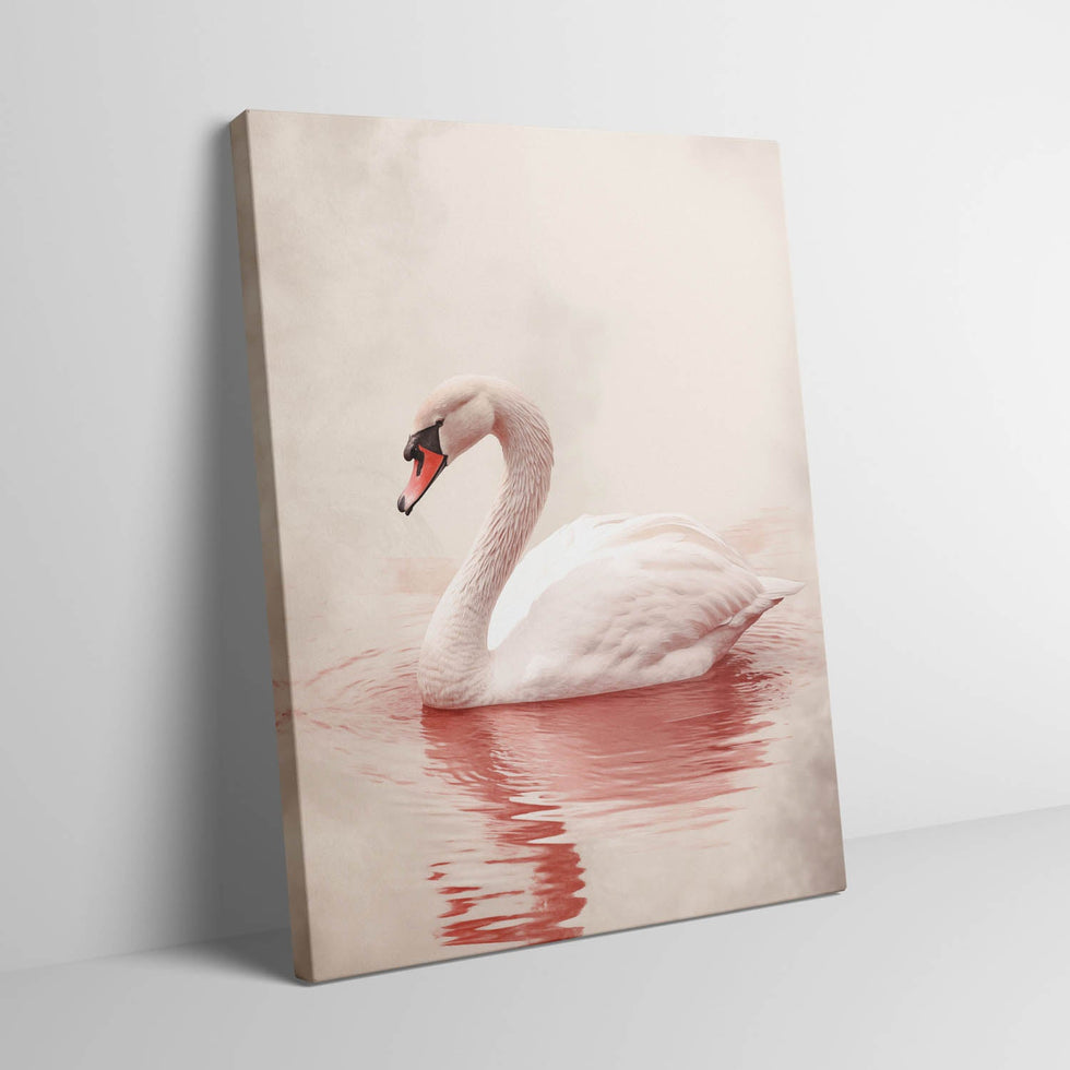 pink-swan