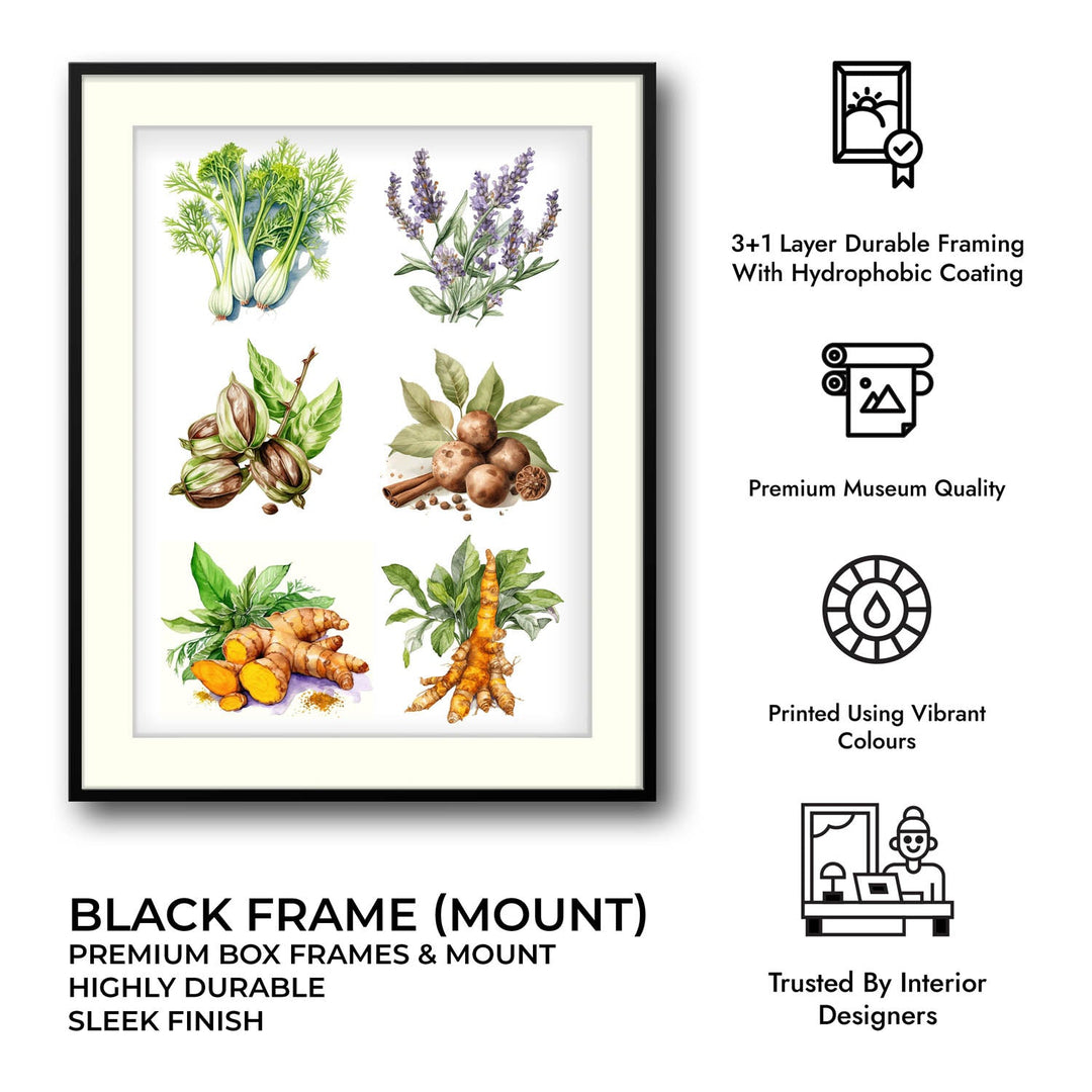 The spice story Kitchen wall art