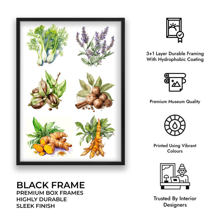 The spice story Kitchen wall art