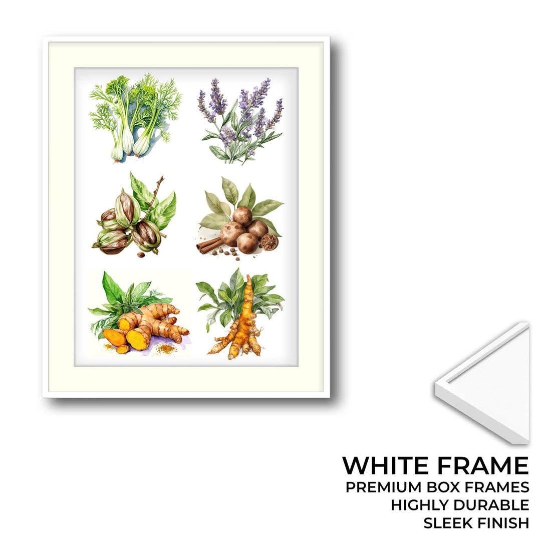 The spice story Kitchen wall art