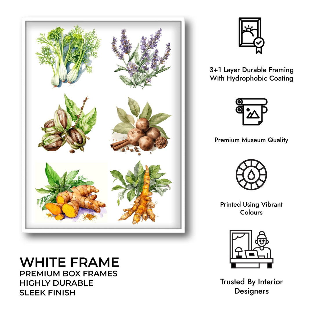 The spice story Kitchen wall art