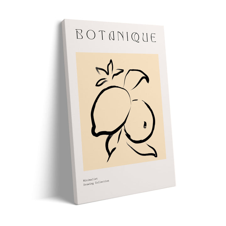 douceur