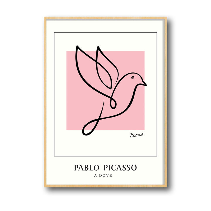 dove-pablo-picasso