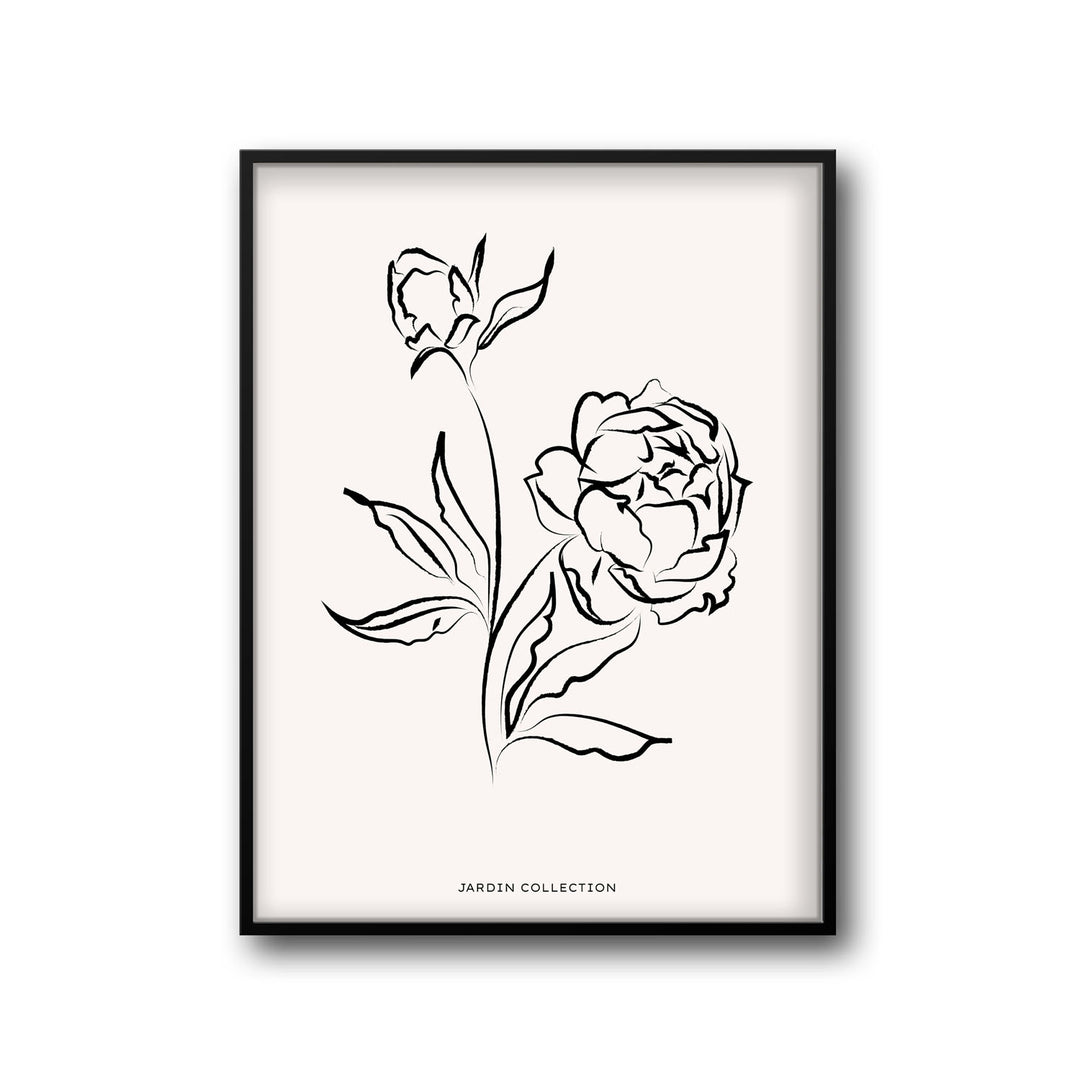 pivoines