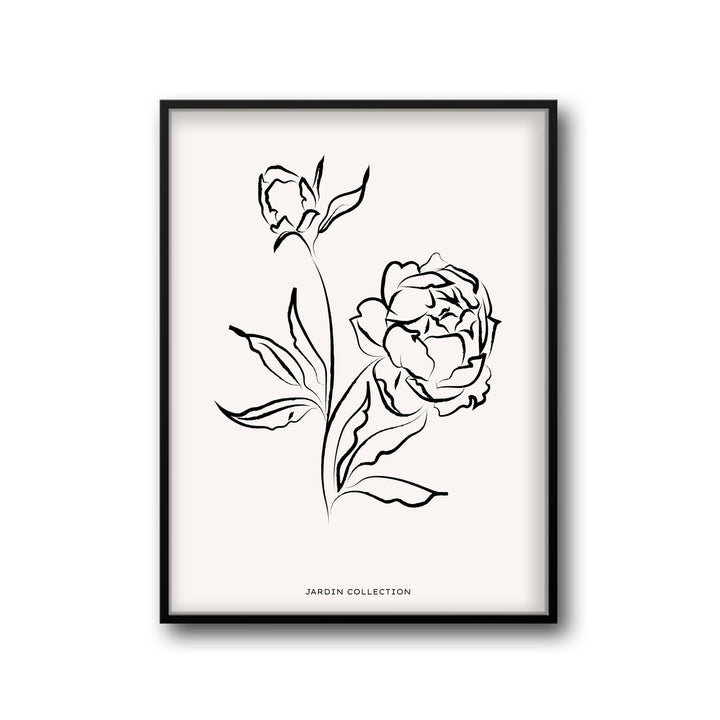 pivoines
