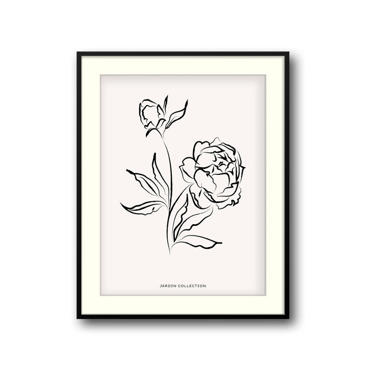 pivoines
